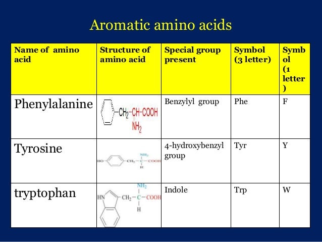 amino acid tyrosine letter