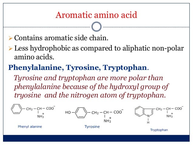 nonpolar hydrophobic amino acids nonpolar hydrophobic amino acids