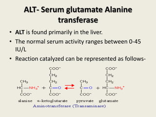 Amino acid catabolism- Part-1 | PPTX