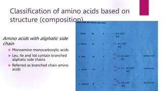 Amino Acid Chemistry | PPTX