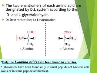 aminoacidclassification-150616095122-lva1-app6892.pdf