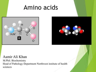Amino acids
Aamir Ali Khan
M.Phil. Biochemistry
Head of Pathology Department Northwest institute of health
sciences
 
