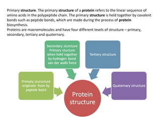 Primary structure. The primary structure of a protein refers to the linear sequence of
amino acids in the polypeptide chain. The primary structure is held together by covalent
bonds such as peptide bonds, which are made during the process of protein
biosynthesis.
Proteins are macromolecules and have four different levels of structure – primary,
secondary, tertiary and quaternary.
 