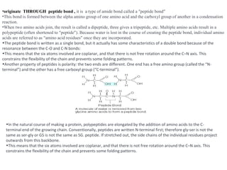 •originate THROUGH peptide bond , it is a type of amide bond called a “peptide bond”
•This bond is formed between the alpha amino group of one amino acid and the carboxyl group of another in a condensation
reaction.
•When two amino acids join, the result is called a dipeptide, three gives a tripeptide, etc. Multiple amino acids result in a
polypeptide (often shortened to “peptide”). Because water is lost in the course of creating the peptide bond, individual amino
acids are referred to as “amino acid residues” once they are incorporated. 
•The peptide bond is written as a single bond, but it actually has some characteristics of a double bond because of the 
resonance between the C-O and C-N bonds:
•This means that the six atoms involved are coplanar, and that there is not free rotation around the C–N axis. This 
constrains the flexibility of the chain and prevents some folding patterns.
•Another property of peptides is polarity: the two ends are different. One end has a free amino group (called the “N-
terminal”) and the other has a free carboxyl group (“C-terminal”).
•In the natural course of making a protein, polypeptides are elongated by the addition of amino acids to the C-
terminal end of the growing chain. Conventionally, peptides are written N-terminal first; therefore gly-ser is not the 
same as ser-gly or GS is not the same as SG. peptide. If stretched out, the side chains of the individual residues project 
outwards from this backbone.
•This means that the six atoms involved are coplanar, and that there is not free rotation around the C–N axis. This 
constrains the flexibility of the chain and prevents some folding patterns.
 