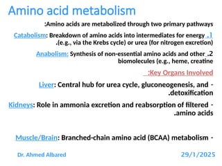 Comprehensive Overview of Amino Acid Metabolism Disorders and Inborn ...