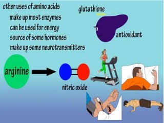 Amino Acid DPT.pptx Amino Acid DPT.pptx