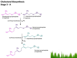 Amino acid and lipid metabolism | PPTX