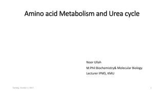 Amino acid Metabolism and Urea cycle
Noor Ullah
M.Phil Biochemistry& Molecular Biology
Lecturer IPMS, KMU
Tuesday, October 3, 2017 1
 