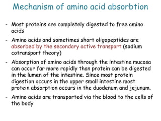 Mechanism of amino acid absorbtion
- Most proteins are completely digested to free amino
acids
- Amino acids and sometimes...