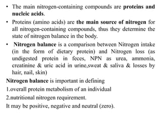 • The main nitrogen-containing compounds are proteins and
nucleic acids.
• Proteins (amino acids) are the main source of n...
