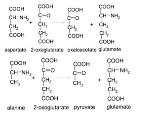 Decarboxylation – removal of carbon dioxide from
amino acid with formation of amines.
Usually amines have high physiologic...