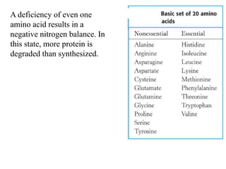 A deficiency of even one
amino acid results in a
negative nitrogen balance. In
this state, more protein is
degraded than s...