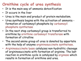 Amino acid oxidation and the
production of urea
Waste or reuse
Oxidation
 