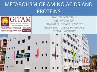 METABOLISM OF AMINO ACIDS AND
PROTEINS
NARESH PANIGRAHI
ASST.PROFESSOR
PHARMACEUTICAL CHEMISTRY
GITAM INSTITUTE OF PHARMACY
GITAM UNIVERSITY
 