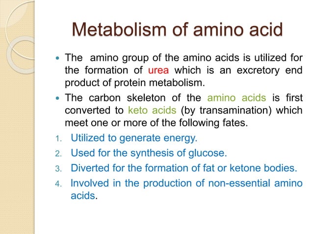 Amino acid metabolism | PPTX | Endocrine and Metabolic Diseases ...