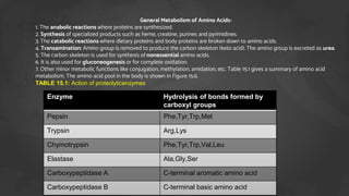 1. General Metabolism of Amino Acids-
2. 1. The anabolic reactions where proteins are synthesized.
3. 2. Synthesis of specialized products such as heme, creatine, purines and pyrimidines.
4. 3. The catabolic reactions where dietary proteins and body proteins are broken down to amino acids.
5. 4. Transamination: Amino group is removed to produce the carbon skeleton (keto acid). The amino group is excreted as urea.
6. 5. The carbon skeleton is used for synthesis of nonessential amino acids.
7. 6. It is also used for gluconeogenesis or for complete oxidation.
8. 7. Other minor metabolic functions like conjugation, methylation, amidation, etc. Table 15.1 gives a summary of amino acid
metabolism. The amino acid pool in the body is shown in Figure 15.6.
9. TABLE 15.1: Action of proteolyticenzymes
Enzyme Hydrolysis of bonds formed by
carboxyl groups
Pepsin Phe,Tyr,Trp,Met
Trypsin Arg,Lys
Chymotrypsin Phe,Tyr,Trp,Val,Leu
Elastase Ala,Gly,Ser
Carboxypeptidase A C-terminal aromatic amino acid
Carboxypeptidase B C-terminal basic amino acid
 