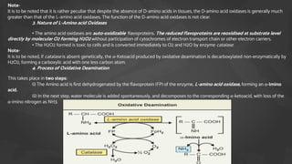 Note-
It is to be noted that it is rather peculiar that despite the absence of D-amino acids in tissues, the D-amino acid oxidases is generally much
greater than that of the L-amino acid oxidases. The function of the D-amino acid oxidases is not clear.
3. Nature of L-Amino acid Oxidases
• The amino acid oxidases are auto-oxidizable flavoproteins. The reduced flavoproteins are reoxidised at substrate level
directly by molecular O2 forming H2O2 without participation of cytochromes of electron transport chain or other electron carriers.
• The H2O2 formed is toxic to cells and is converted immediately to O2 and H2O by enzyme catalase.
Note-
It is to be noted, if catalase is absent genetically, the α-Ketoacid produced by oxidative deamination is decarboxylated non-enzymatically by
H2O2, forming a carboxylic acid with one less carbon atom.
4. Process of Oxidative Deamination
This takes place in two steps:
(i) The Amino acid is first dehydrogenated by the flavoprotein (FP) of the enzyme, L-amino acid oxidase, forming an α-Imino
acid.
(ii) In the next step, water molecule is added spontaneously, and decomposes to the corresponding α-ketoacid, with loss of the
α-imino nitrogen as NH3.
 