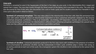 Urea cycle
Ammonia is converted to urea in the hepatocytes of the liver in five steps via urea cycle- in the mitochondria (first 2 steps) and
cytosol (last 3 steps). The urea then travels through the blood stream to the kidney and is excreted in the urine. The urea cycle
was discovered by Hans Krebs (who also discovered Citric acid or Krebs cycle) and his student associate Kurt Henseleit in 1932.
Urea cycle is discussed in detail as follows:
1. Synthesis of carbamoyl phosphate– This step takes place in the mitochondria of the liver cells. Here the ammonium ions
react with carbon dioxide (product of mitochondrial respiration) to form carbamoyl phosphate catalyzed by the enzyme
carbamoyl phosphate synthetase I. This is an irreversible, rate-limiting, ATP-dependent reaction and consumes 2 ATP.
Carbamoyl phosphate synthetase I (in mitochondria) is different from carbamoyl phosphate synthetase II (in cytosol) as the
latter one has a different role to play and is involved in pyrimidine synthesis.
2. Synthesis of citrulline– Carbamoyl phosphate produced in the first step reacts with ornithine in the presence of ornithine
transcarbamoylase to synthesize citrulline. Just like oxaloacetate in Kreb’s cycle, ornithine plays a similar role acting as
accepting substrate at each turn of the cycle. Via a transporter system this citrulline is now transferred to the cytosol of the
liver cells.
 