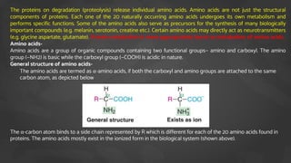 The proteins on degradation (proteolysis) release individual amino acids. Amino acids are not just the structural
components of proteins. Each one of the 20 naturally occurring amino acids undergoes its own metabolism and
performs specific functions. Some of the amino acids also serve as precursors for the synthesis of many biologically
important compounds (e.g. melanin, serotonin, creatine etc.). Certain amino acids may directly act as neurotransmitters
(e.g. glycine aspartate, glutamate). Protein metabolism is more appropriately learnt as metabolism of amino acids.
Amino acids-
Amino acids are a group of organic compounds containing two functional groups— amino and carboxyl. The amino
group (—NH2) is basic while the carboxyl group (—COOH) is acidic in nature.
General structure of amino acids-
1. The amino acids are termed as α-amino acids, if both the carboxyl and amino groups are attached to the same
carbon atom, as depicted below
The α-carbon atom binds to a side chain represented by R which is different for each of the 20 amino acids found in
proteins. The amino acids mostly exist in the ionized form in the biological system (shown above).
 