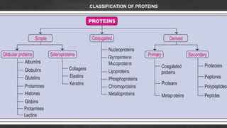 CLASSIFICATION OF PROTEINS
 