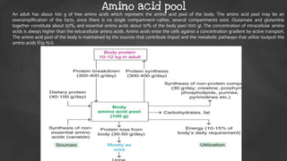 An adult has about 100 g of free amino acids which represent the amino acid pool of the body. The amino acid pool may be an
oversimplification of the facts, since there is no single compartment—rather, several compartments exist. Glutamate and glutamine
together constitute about 50%, and essential amino acids about 10% of the body pool (100 g). The concentration of intracellular amino
acids is always higher than the extracellular amino acids. Amino acids enter the cells against a concentration gradient by active transport.
The amino acid pool of the body is maintained by the sources that contribute (input) and the metabolic pathways that utilize (output) the
amino acids (Fig-15.1).
Amino acid pool
 