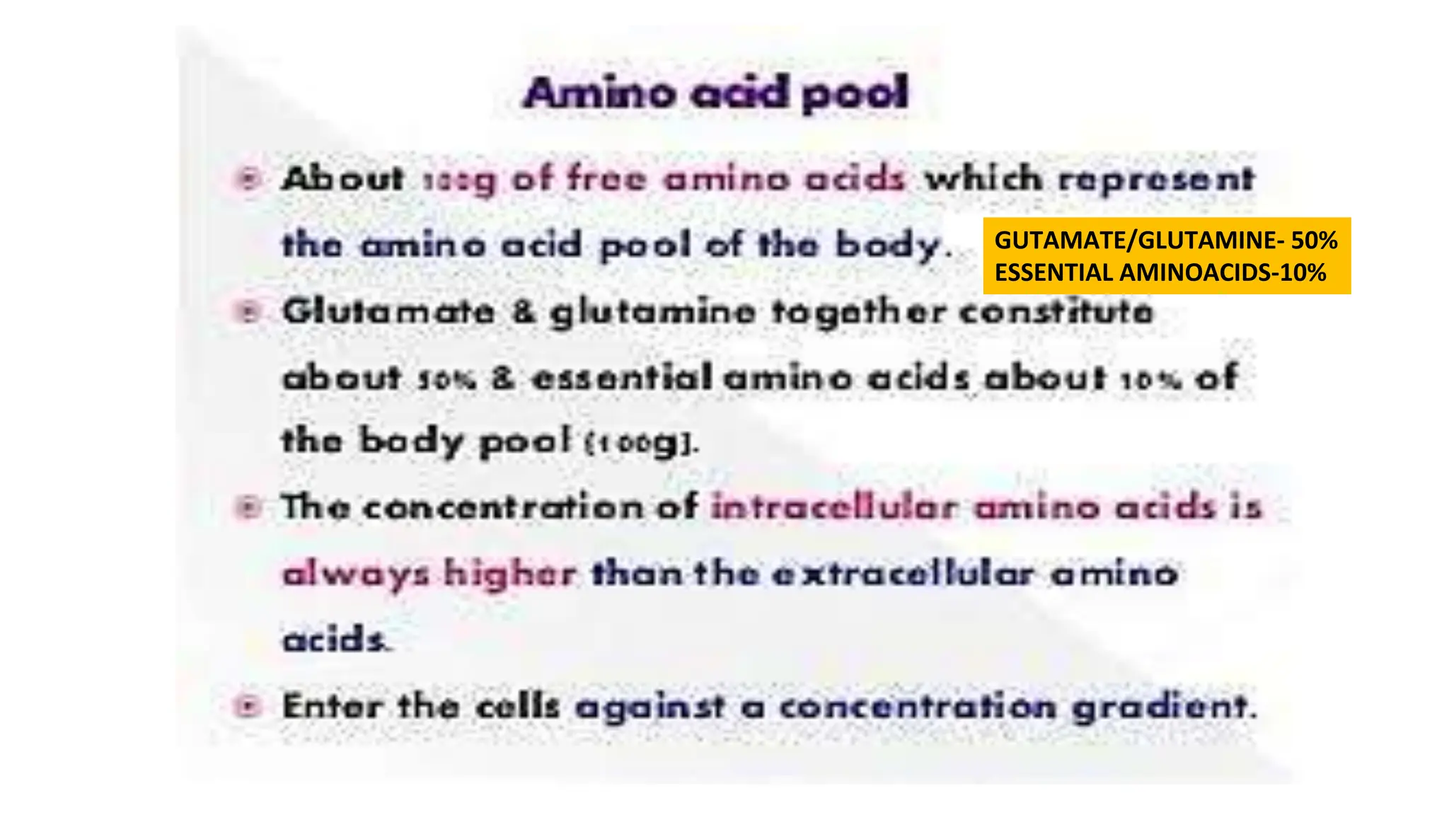 Amino acid Metabolism - Nutritional Biochemistry | PPT