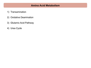 Amino Acid Metabolism - Synthesis & Breakdown.pptx