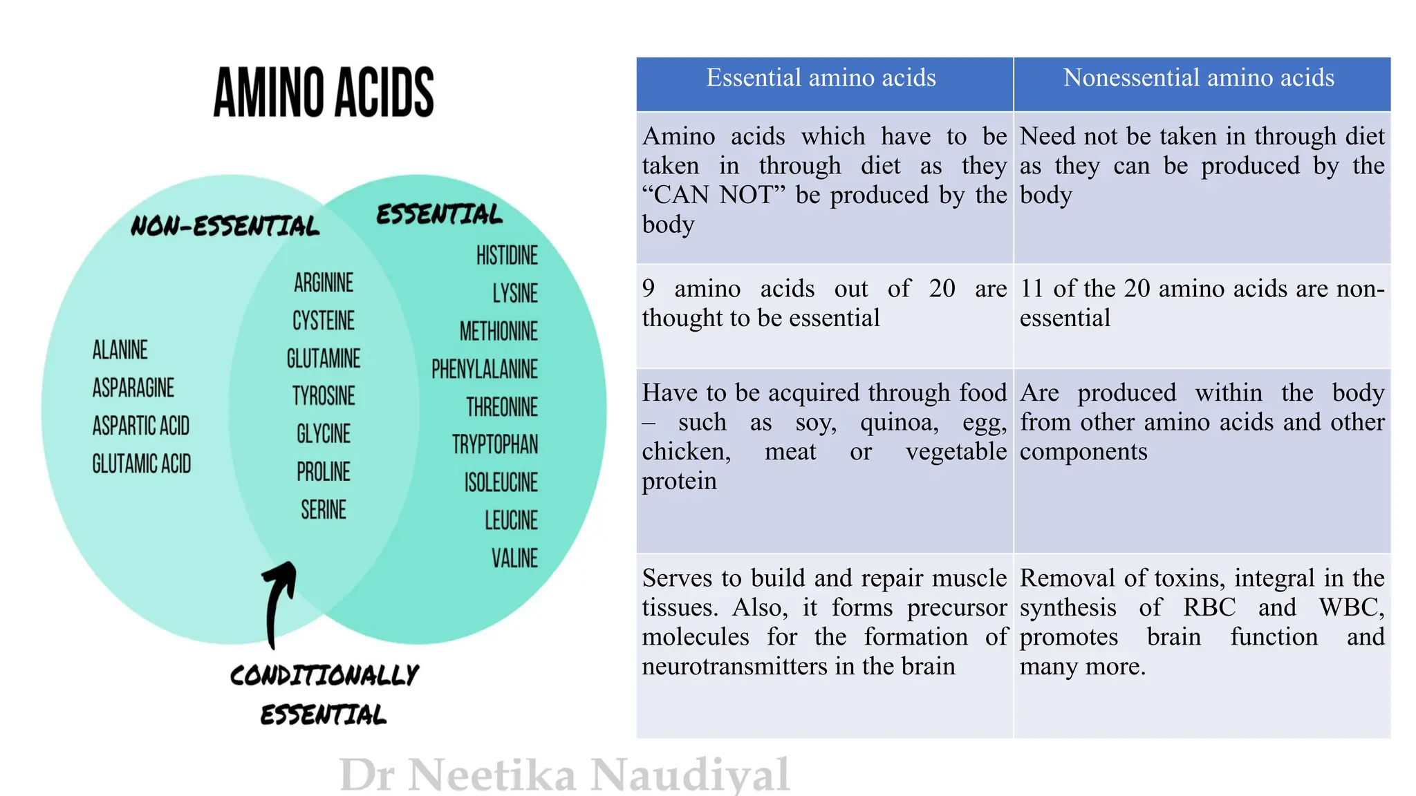 20 Essential And Non Essential Amino Acid