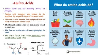 Amino acid metabolism (Amino Acid Deamination) | PPTX