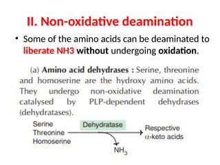 OVERVIEW OF AMINO ACID METABOLISM AND ITS SIGNFICANCE | PPTX
