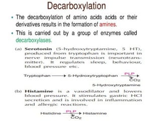 OVERVIEW OF AMINO ACID METABOLISM AND ITS SIGNFICANCE | PPTX