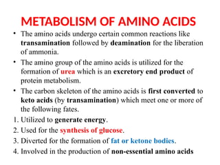 OVERVIEW OF AMINO ACID METABOLISM AND ITS SIGNFICANCE | PPTX