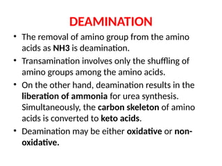 OVERVIEW OF AMINO ACID METABOLISM AND ITS SIGNFICANCE | PPTX