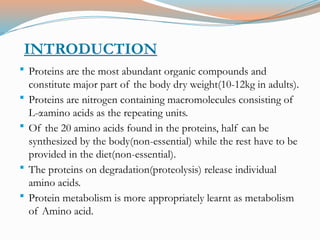Amino Acid Metabolism and its associated Diseases.pptx