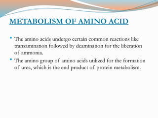 Amino Acid Metabolism and its associated Diseases.pptx