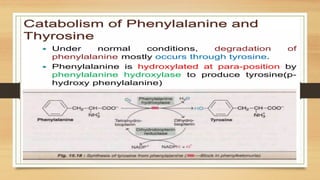 Amino Acid Metabolism B.PHARM Biochemistry | PPTX
