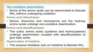 Amino Acid Metabolism B.PHARM Biochemistry | PPTX