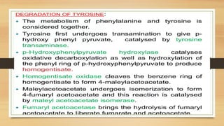 Amino Acid Metabolism b.pharm biochemistry | PPTX