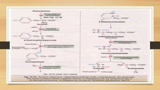 Amino Acid Metabolism b.pharm biochemistry | PPTX
