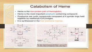 Amino Acid Metabolism b.pharm biochemistry | PPTX
