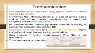 Amino Acid Metabolism b.pharm biochemistry | PPTX