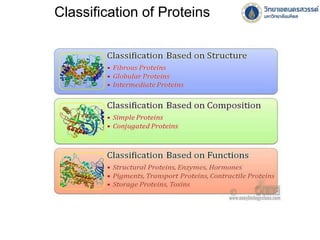 amino acid metabolism_mai2021.pdf