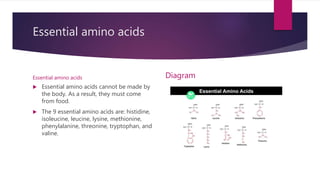 Essential amino acids
Essential amino acids
 Essential amino acids cannot be made by
the body. As a result, they must come
from food.
 The 9 essential amino acids are: histidine,
isoleucine, leucine, lysine, methionine,
phenylalanine, threonine, tryptophan, and
valine.
Diagram
 