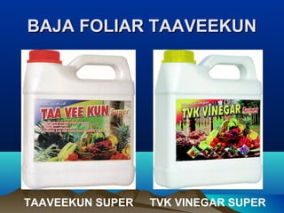 BAJA FOLIAR TAAVEEKUNBAJA FOLIAR TAAVEEKUN
TAAVEEKUN SUPER TVK VINEGAR SUPER
 