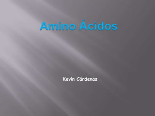 Amino Ácidos Kevin Cárdenas 