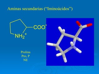 Aminas secundarias (“Iminoácidos”) Prolina Pro, P NE 