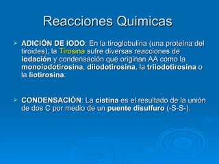 Reacciones Quimicas  <ul><li>ADICIÓN DE IODO : En la tiroglobulina (una proteína del tiroides), la  Tirosina  sufre divers...