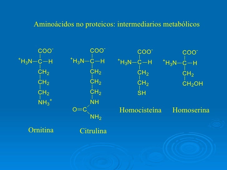 Aminoacidos