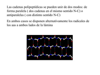 Las cadenas polipeptídicas se pueden unir de dos modos: de forma paralela ( dos cadenas en el mismo sentido N-C) o antiparalelas ( con distinto sentido N-C) En ambos casos se disponen alternativamente los radicales de los aas a ambos lados de la lámina