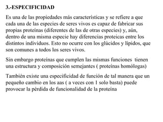 3.- ESPECIFICIDAD Es una de las propiedades más características y se refiere a que cada una de las especies de seres vivos es capaz de fabricar sus propias prote í nas (diferentes de las de otras especies) y, aún, dentro de una misma especie hay diferencias prot e icas entre los distintos individuos. Esto no ocurre con los glúcidos y lípidos, que son comunes a todos los seres vivos. Sin embargo proteínas que cumplen las mismas funciones tienen una estructura y composición semejantes ( proteínas homólogas) También existe una especificidad de función de tal manera que un pequeño cambio en los aas ( a veces con 1 solo basta) puede provocar la pérdida de funcionalidad de la proteína